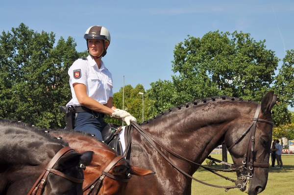 Polizeidirektion   154.jpg